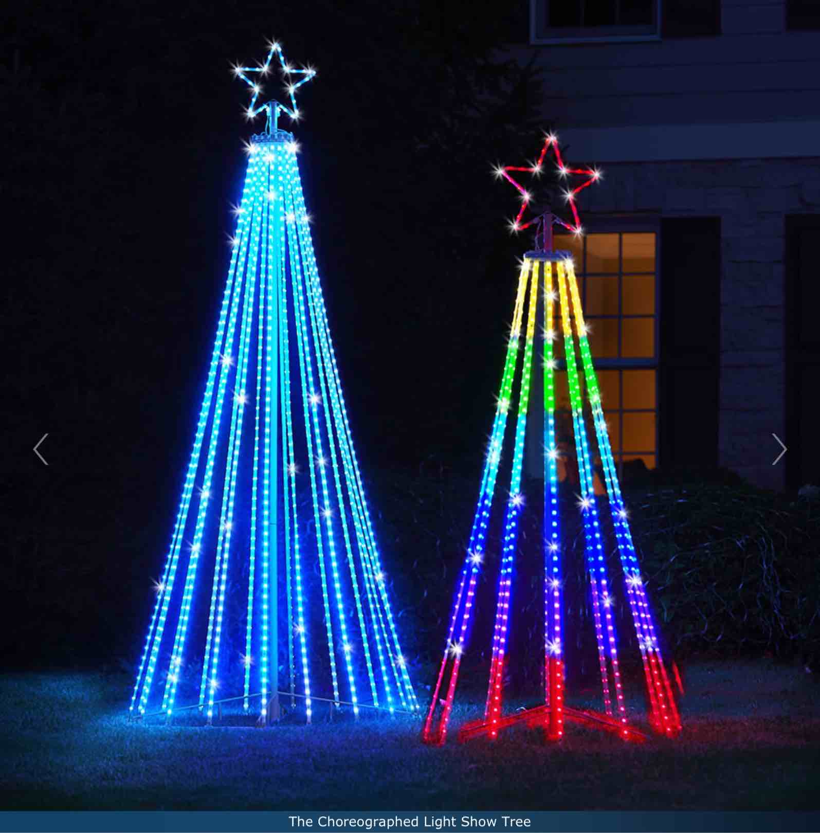 The Choreographed Light Show Tree