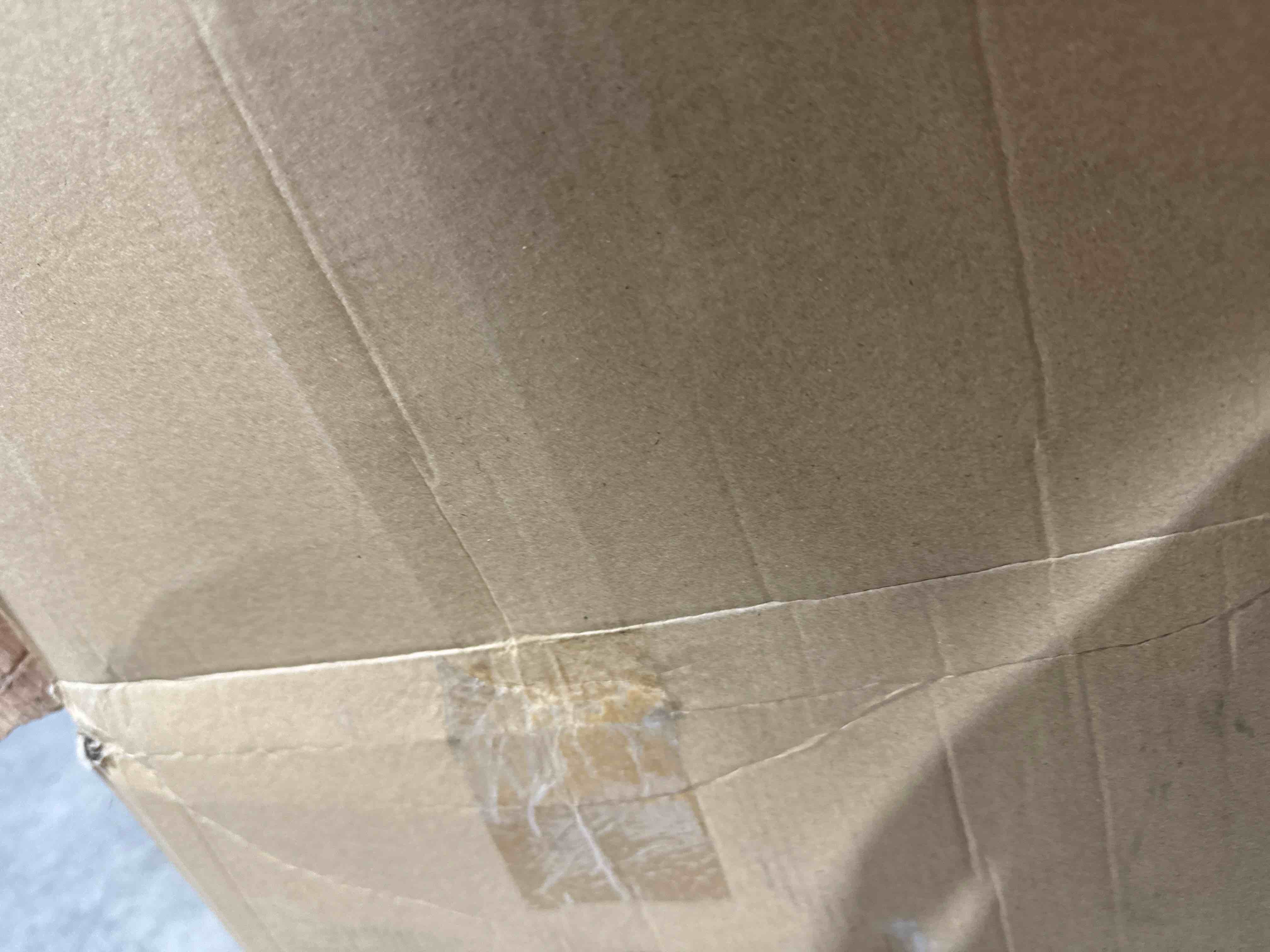 https://s3.amazonaws.com/lotting-images-prod/bidfta/ORG5729480_1713051981182.jpeg