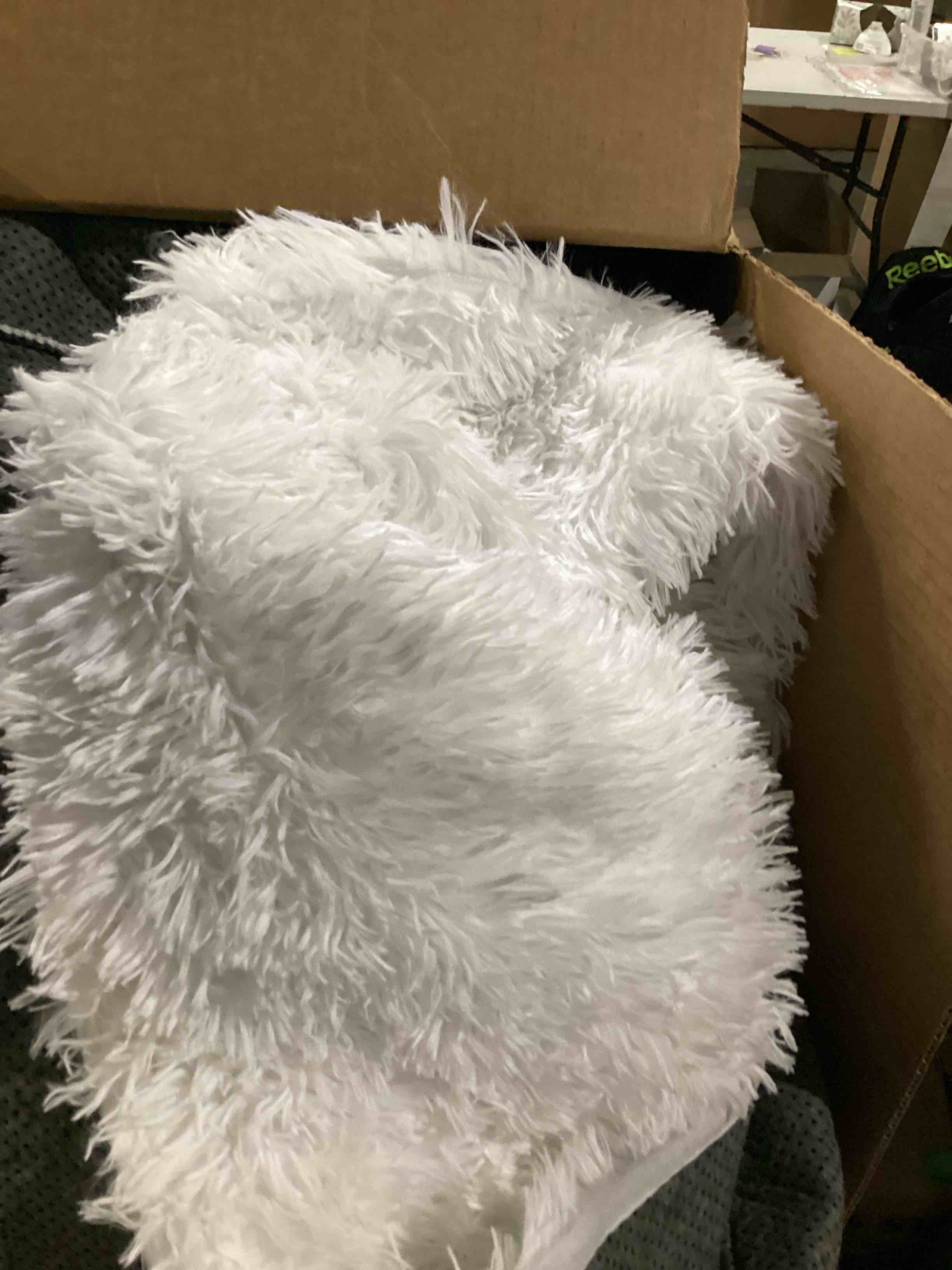 https://s3.amazonaws.com/lotting-images-prod/bidfta/ORG5737830_1717441730393.jpeg