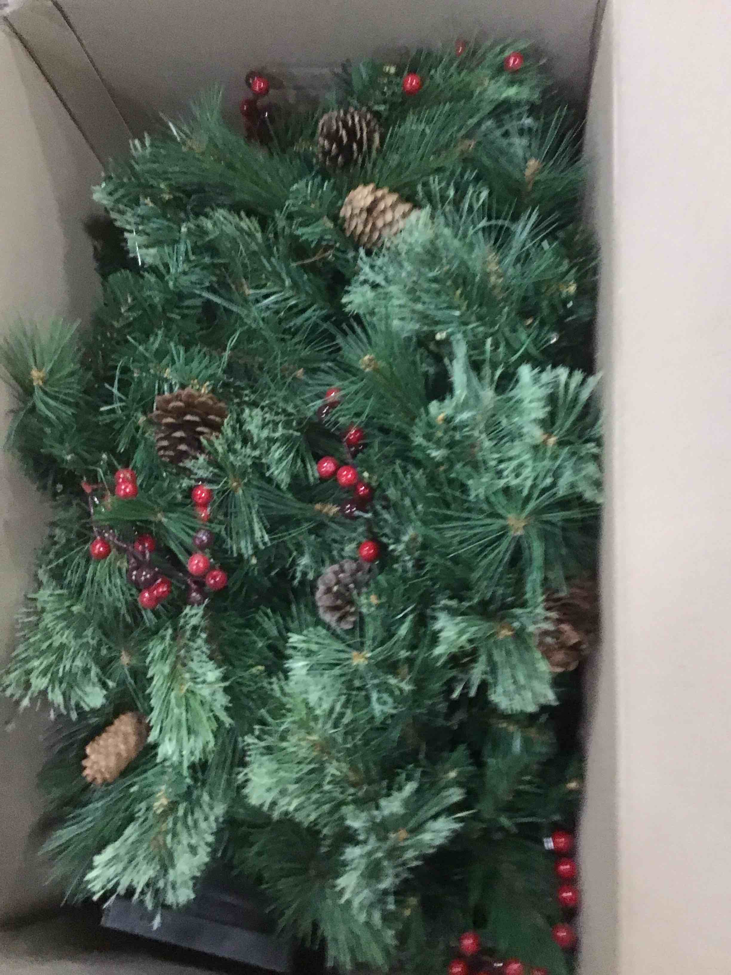 https://s3.amazonaws.com/lotting-images-prod/bidfta/ORG5745598_1706820090868.jpeg