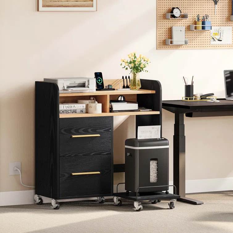 Asharra Wood CPU Storage File Cabinet with 2-Drawers & Charging