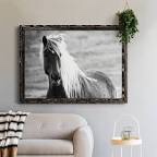 Islandic Horse - Picture Frame Photograph Print on Canvas
