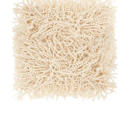 Arnstein Square Pillow Cover & Insert