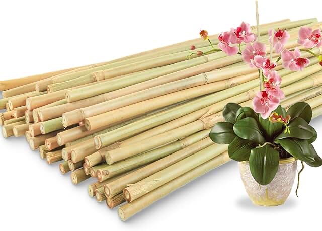 bamboo stakes