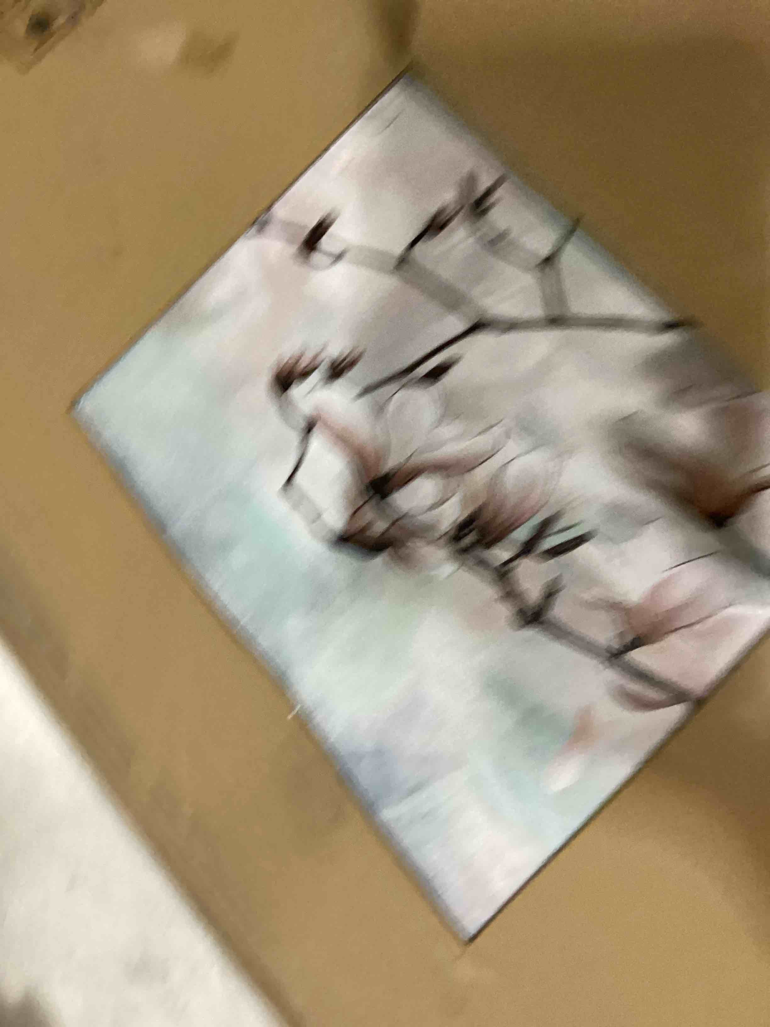 https://s3.amazonaws.com/lotting-images-prod/bidfta/ORG5790274_1714582353506.jpeg