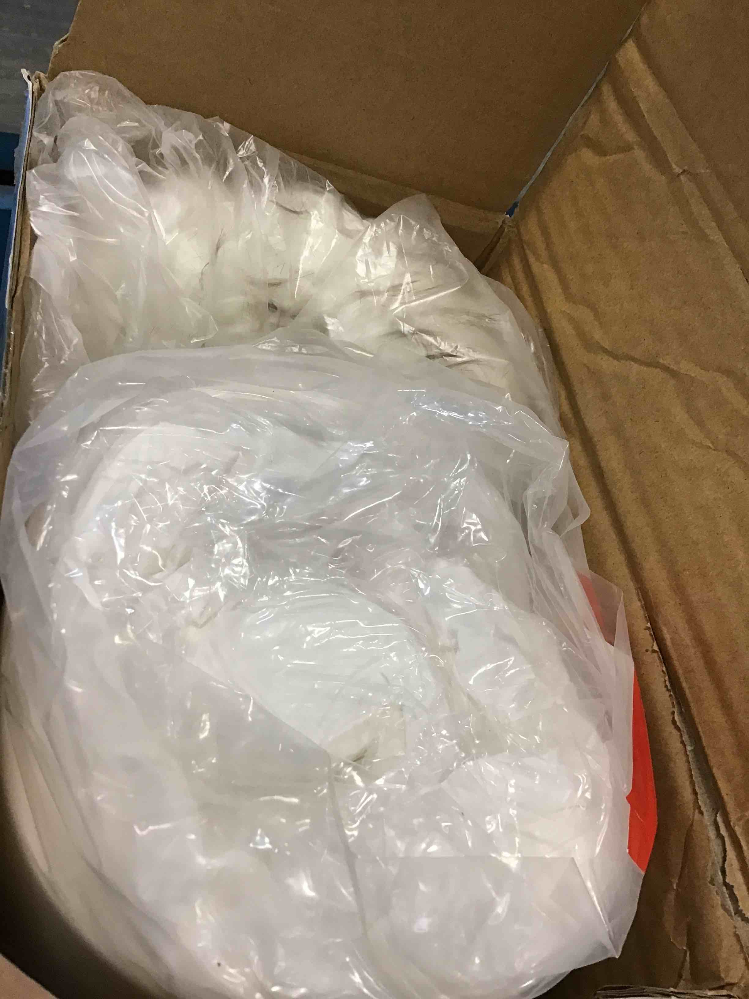 https://s3.amazonaws.com/lotting-images-prod/bidfta/ORG5805016_1706720514938.jpeg