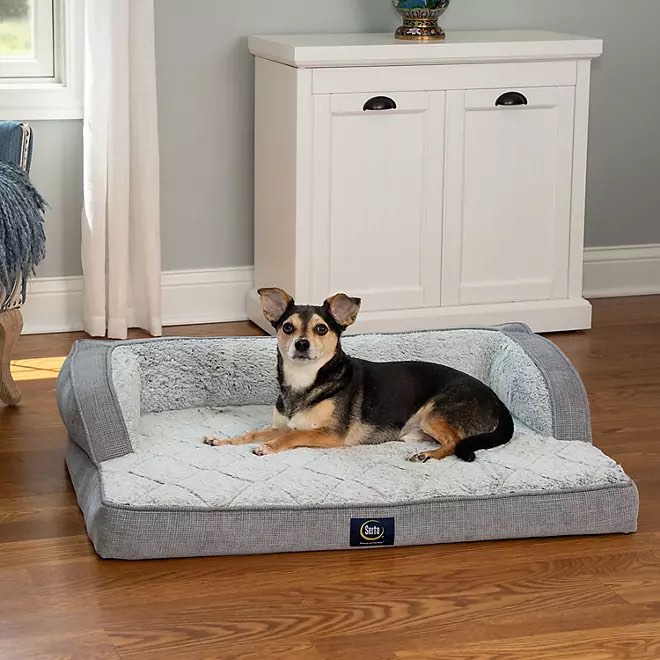 Serta Luxury Sleeper Sofa Pet Bed 