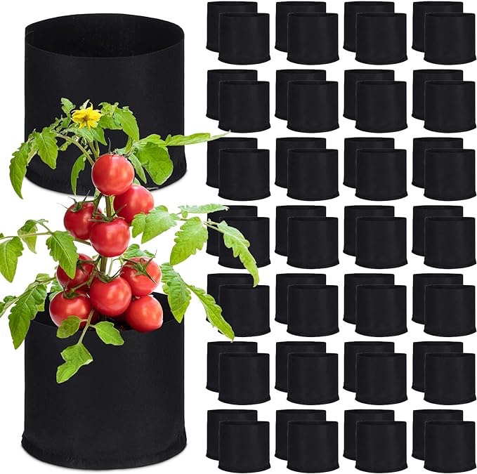 Zubebe 60 Pack Plant Grow Bags Bulk Garden Bags Aeration Grow Pots Heavy Duty Thickened Nonwoven Fabric Plant Pots Black Planting Container for Potato Tomato Vegetable Flower Fruits (3 Gallon)