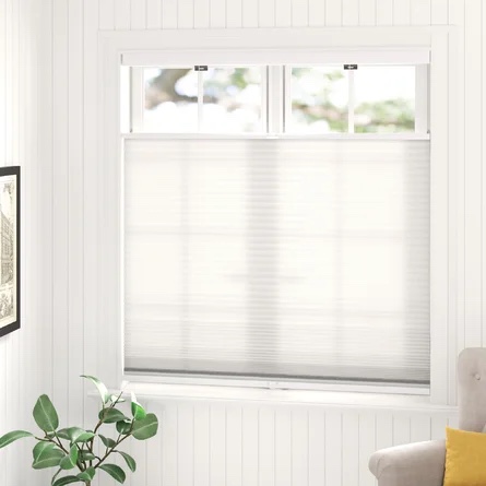 Semi Sheer Cellular Shade, Large 