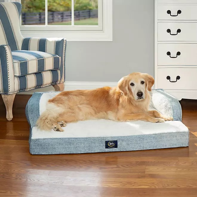 Serta Luxury Sleeper Sofa Pet Bed