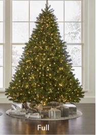 The World's Best Prelit Douglas Fir (8.5' Full) box 2 of 2 only 