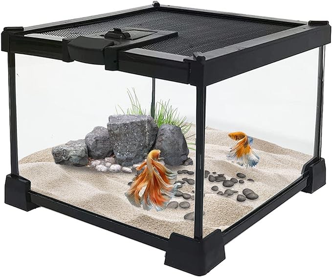 kathson Mini Reptile Glass Terrarium Tank, Transparent Full View Amphibians Breeding Box Appealing Mini Reptiles Enclosure Cage 7.9" x 7.9"x 5.7