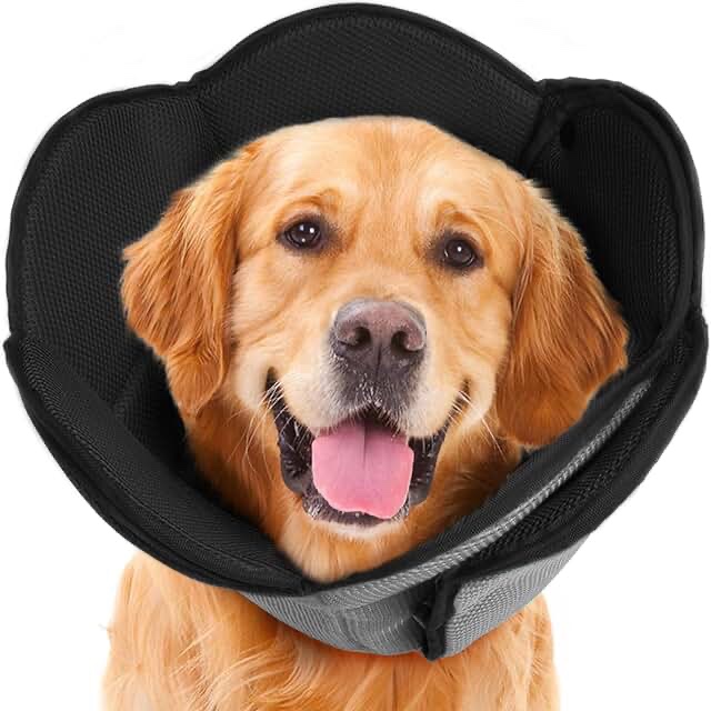 IDOMIK Dog Cone for Dogs After Surgery, Comfy Soft Dog Cones for Large Medium Small Dogs Cats, Adjustable Protective Dog Recovery Collars & Cones Alternatives to Prevent Pets from Licking Wounds,XL