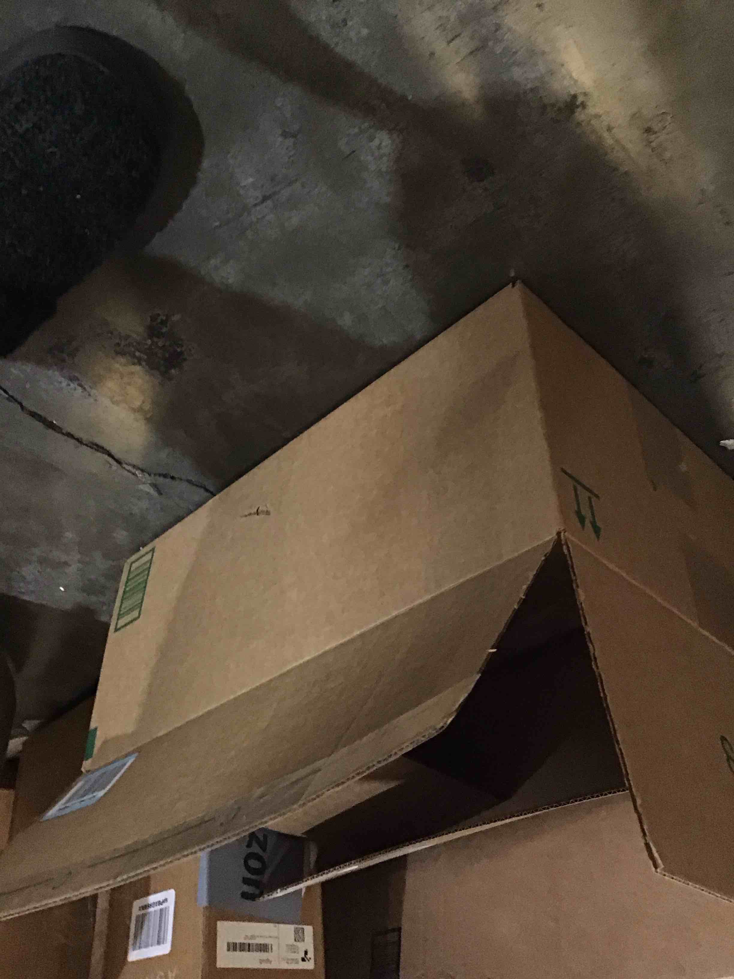 https://s3.amazonaws.com/lotting-images-prod/bidfta/ORG5983332_1729264014220.jpeg