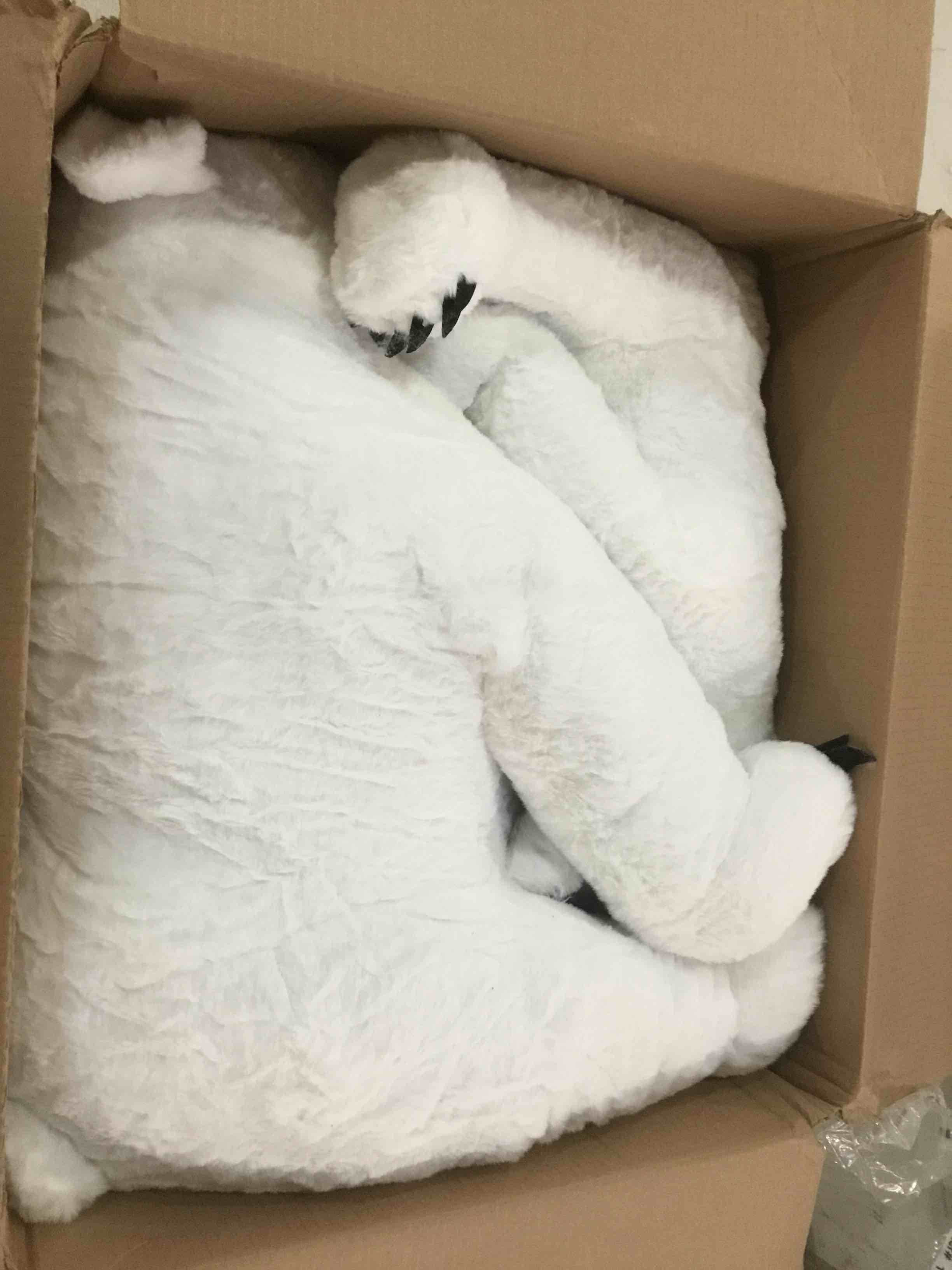 https://s3.amazonaws.com/lotting-images-prod/bidfta/ORG5996251_1709316888308.jpeg