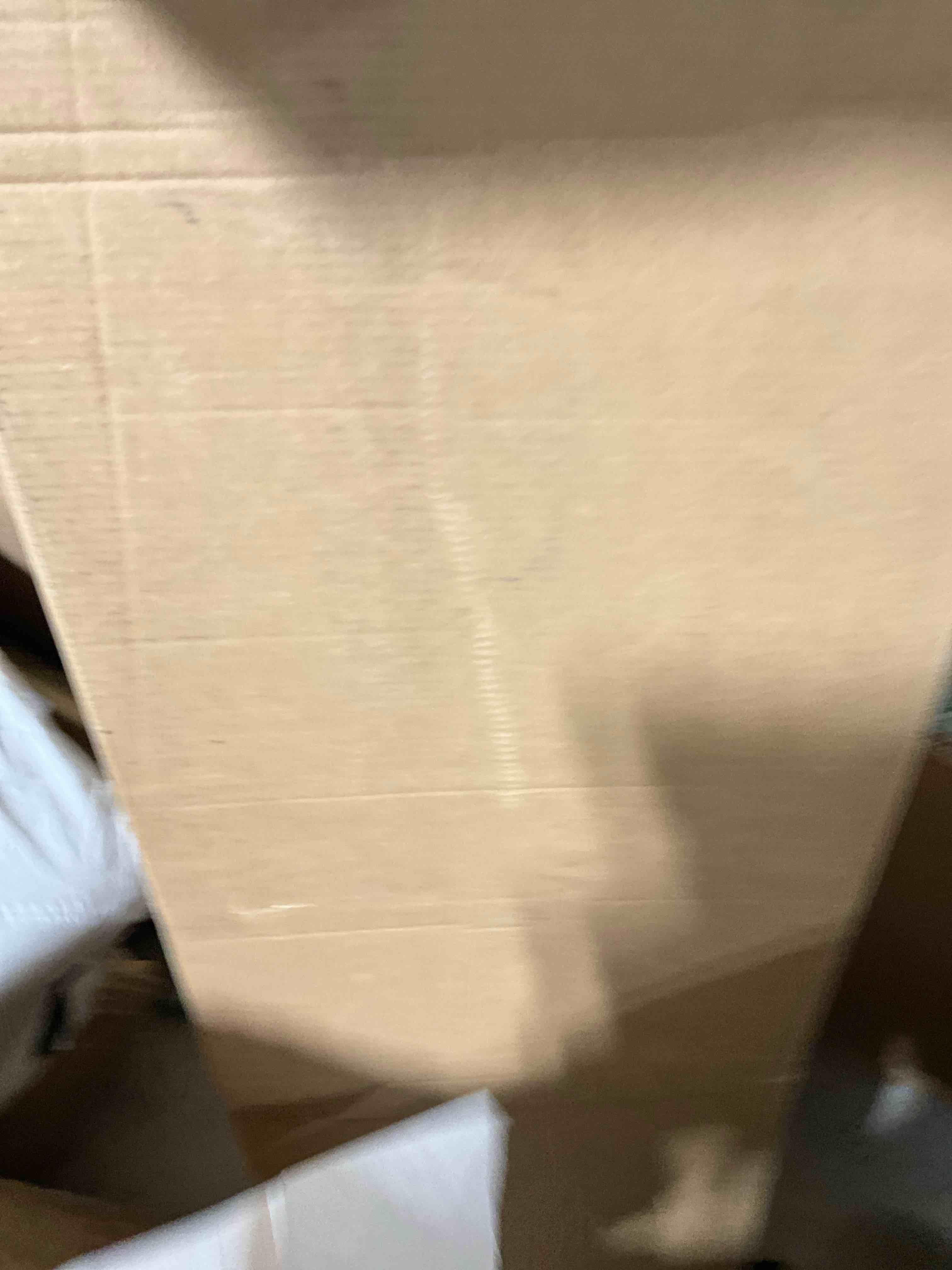 https://s3.amazonaws.com/lotting-images-prod/bidfta/ORG6013345_1728509274343.jpeg