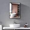 Runesay Furniture Bathroom Medicine Cabinet Black 