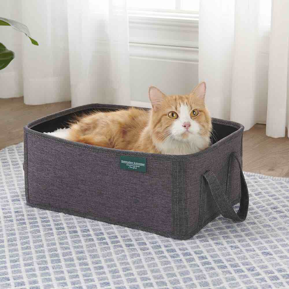 the cats comfort box