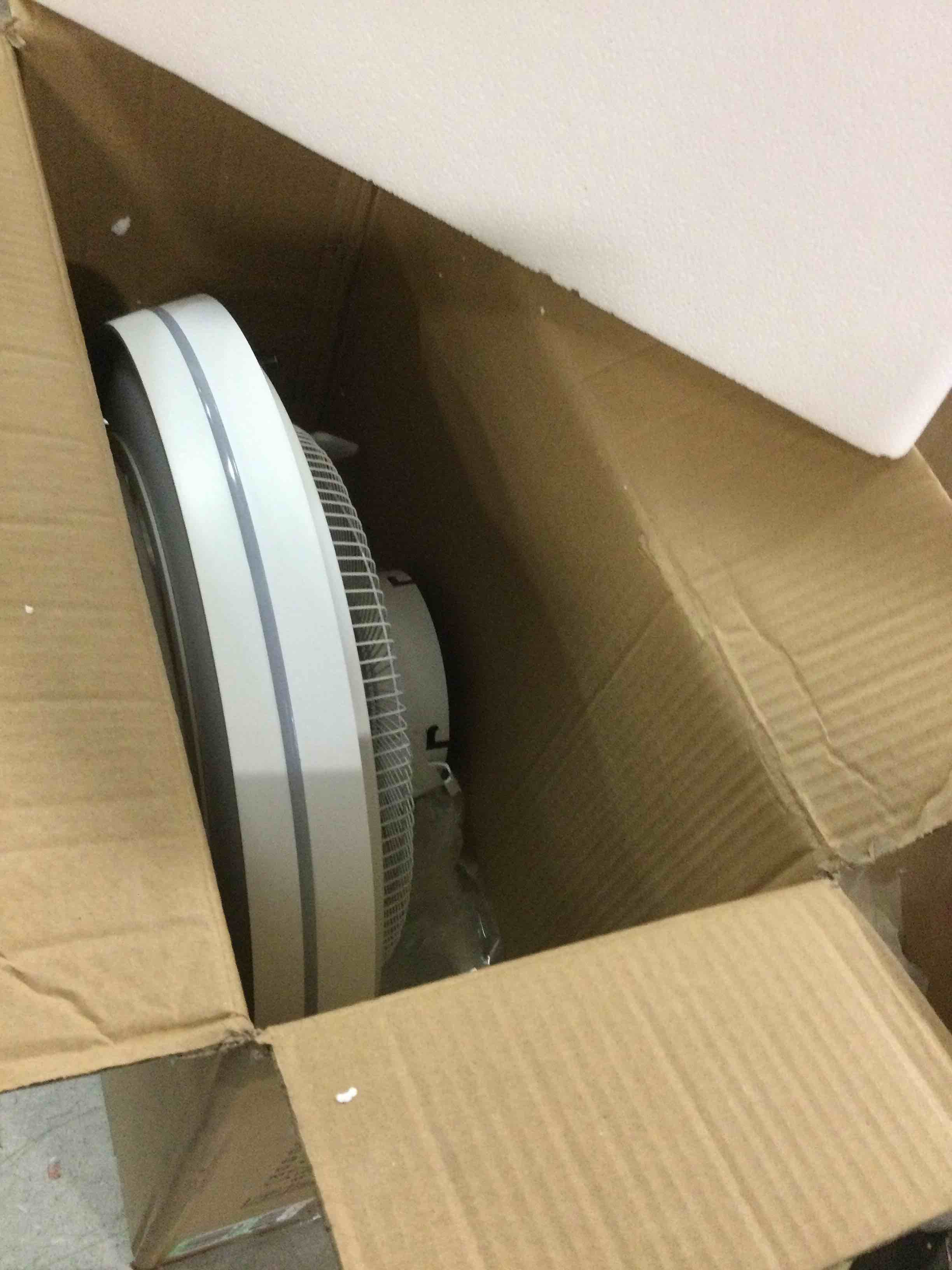 https://s3.amazonaws.com/lotting-images-prod/bidfta/ORG6028840_1712059507173.jpeg