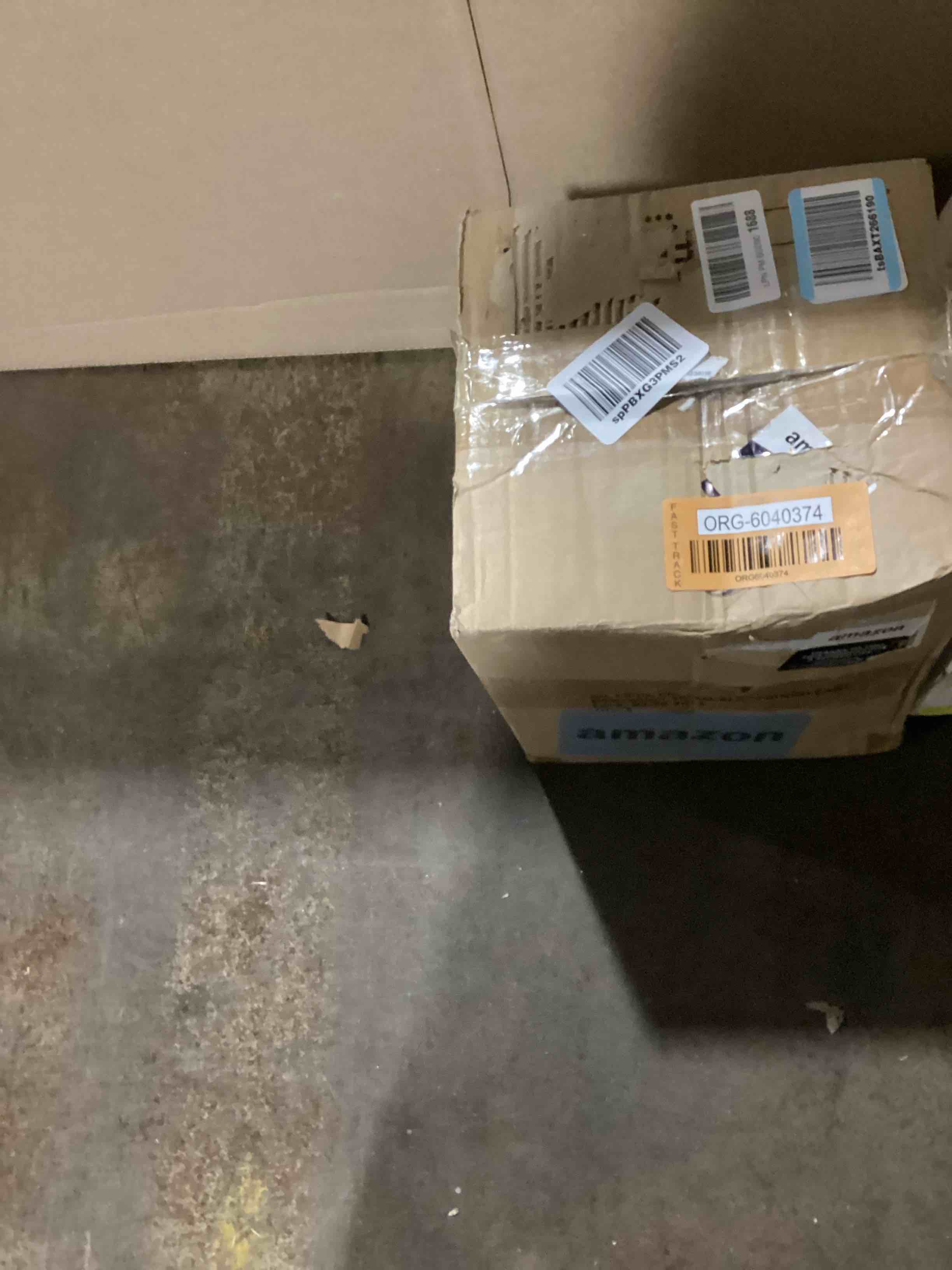 https://s3.amazonaws.com/lotting-images-prod/bidfta/ORG6040374_1724338835871.jpeg