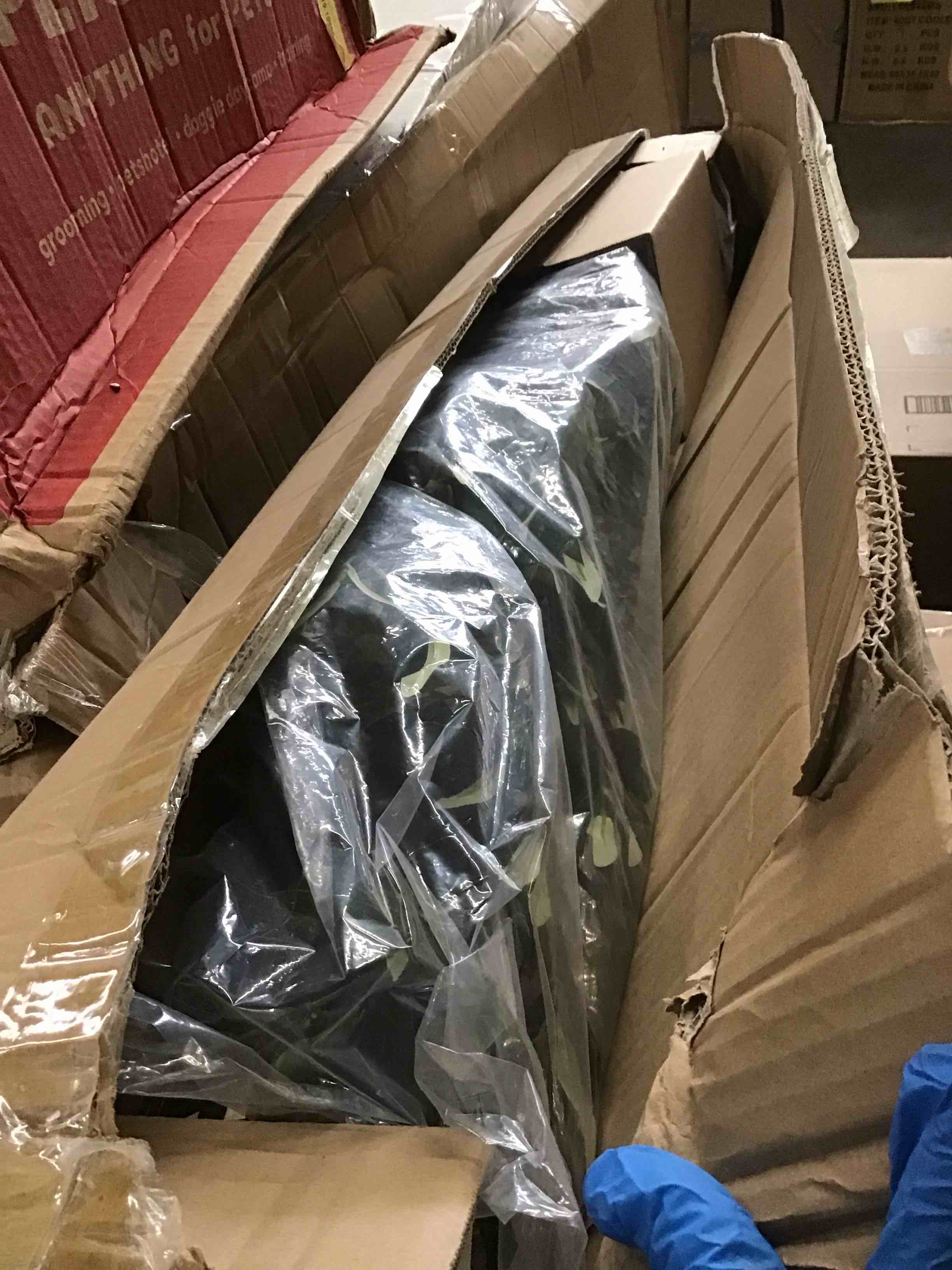 https://s3.amazonaws.com/lotting-images-prod/bidfta/ORG6051047_1716555368593.jpeg
