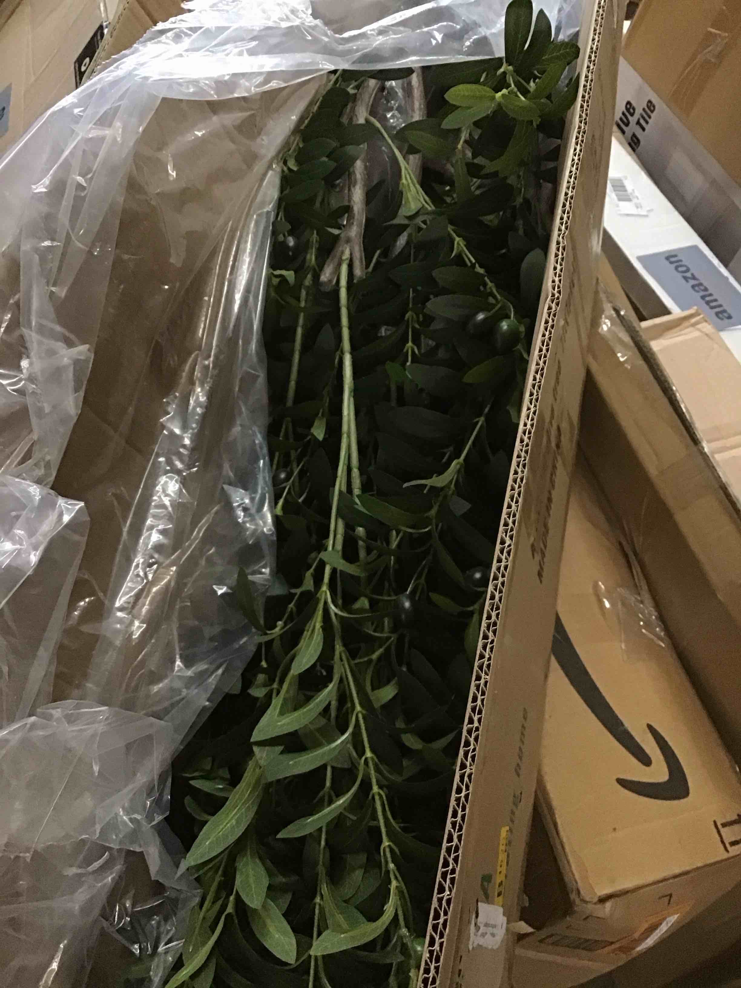 https://s3.amazonaws.com/lotting-images-prod/bidfta/ORG6051051_1716556742967.jpeg