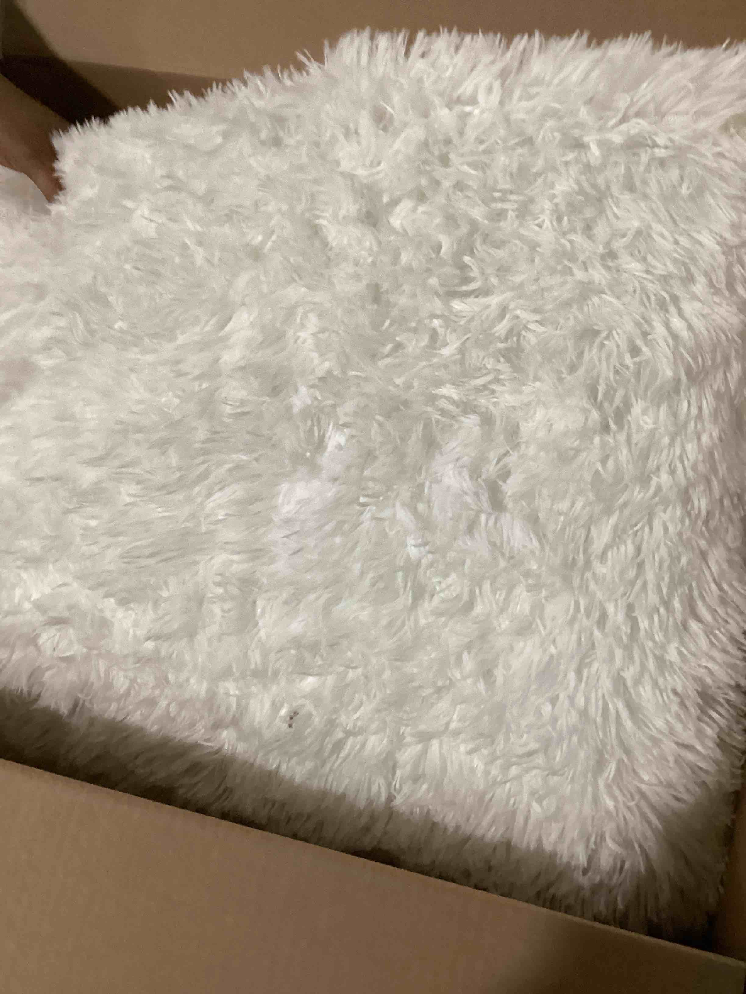 https://s3.amazonaws.com/lotting-images-prod/bidfta/ORG6063188_1714569555934.jpeg