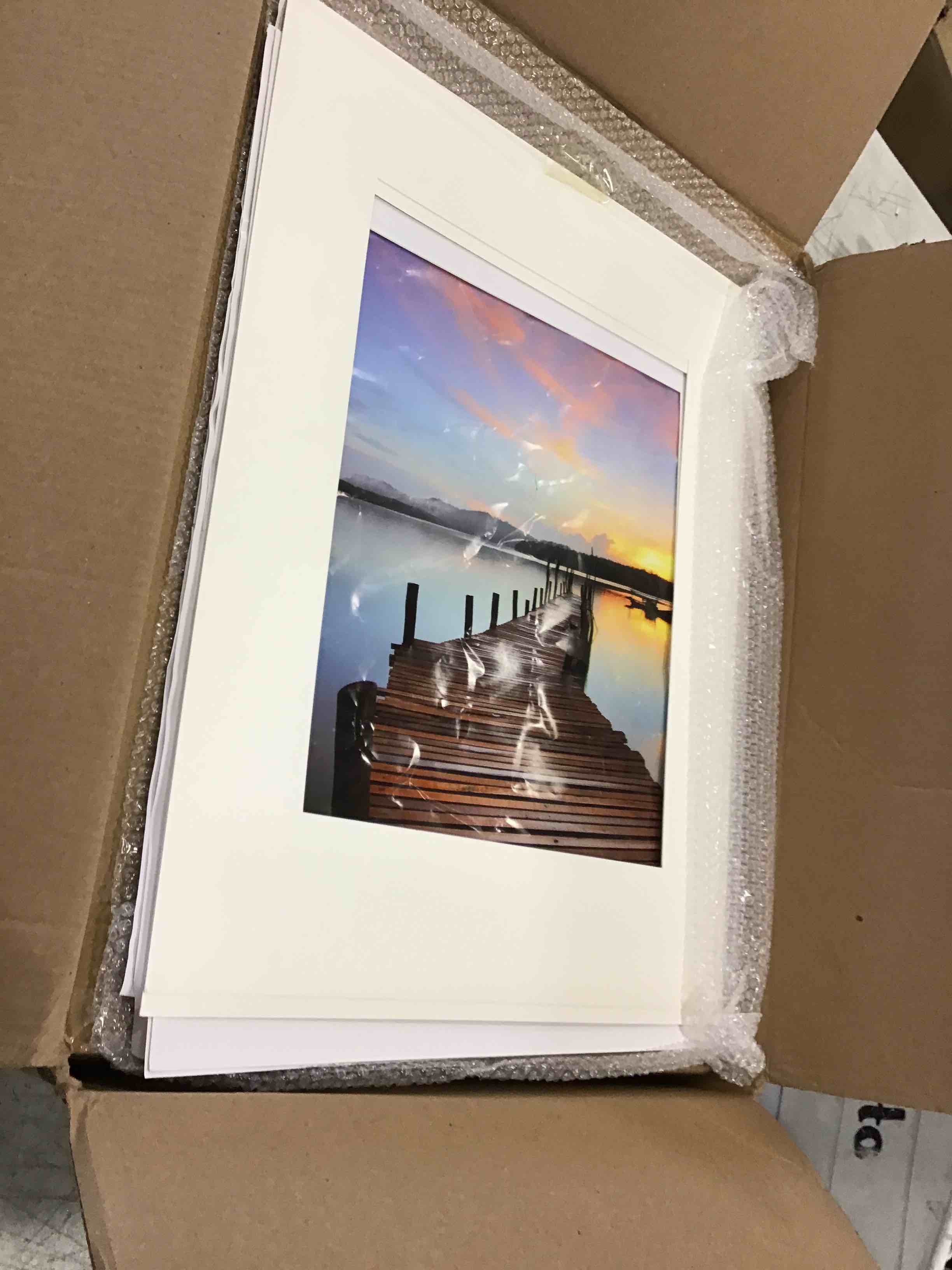 https://s3.amazonaws.com/lotting-images-prod/bidfta/ORG6128758_1707926452987.jpeg