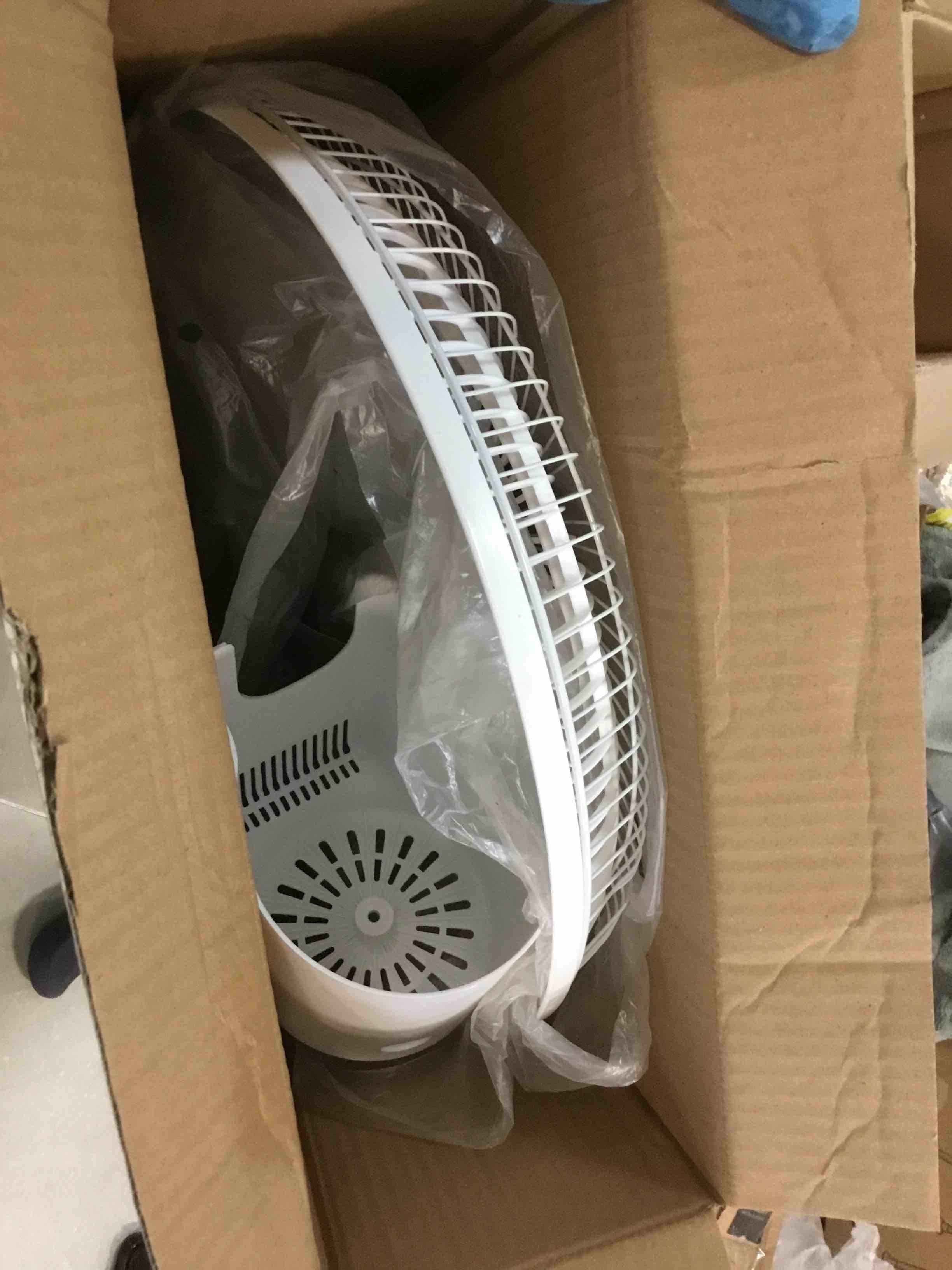https://s3.amazonaws.com/lotting-images-prod/bidfta/ORG6145697_1709218402570.jpeg