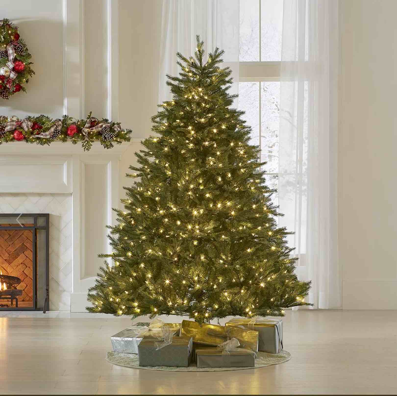 The World's Best Prelit Concolor Fir