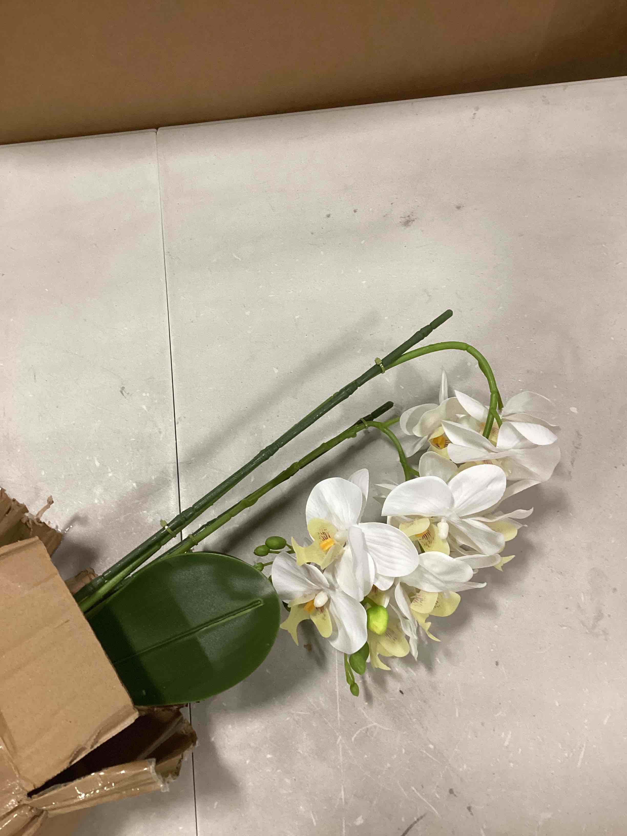 https://s3.amazonaws.com/lotting-images-prod/bidfta/ORG6204301_1716380911446.jpeg