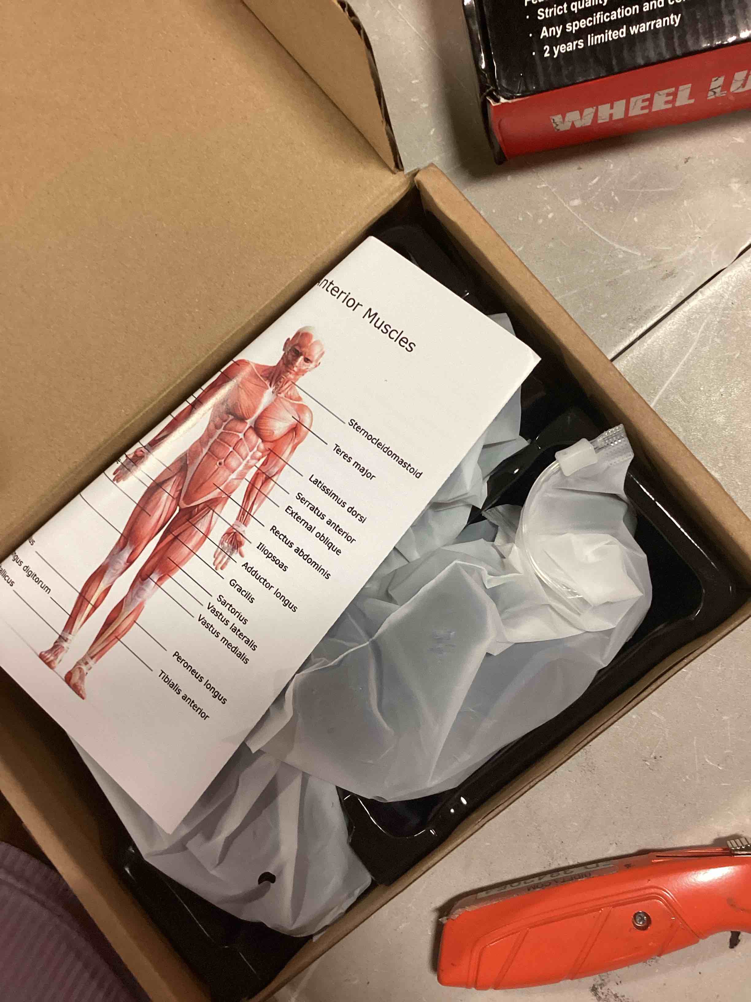 OLsky Massage Gun Deep Tissue, Handheld Electric Muscle Massager, High Intensity Percussion Massage Device for Pain Relief with 10 Attachments & 30 Speed(Black)