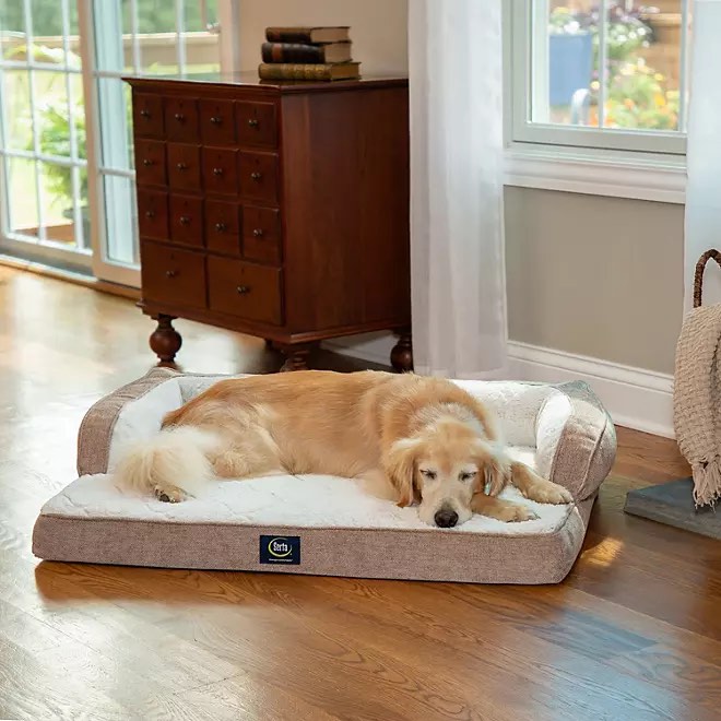 Serta Memory Foam Couch Lounger 