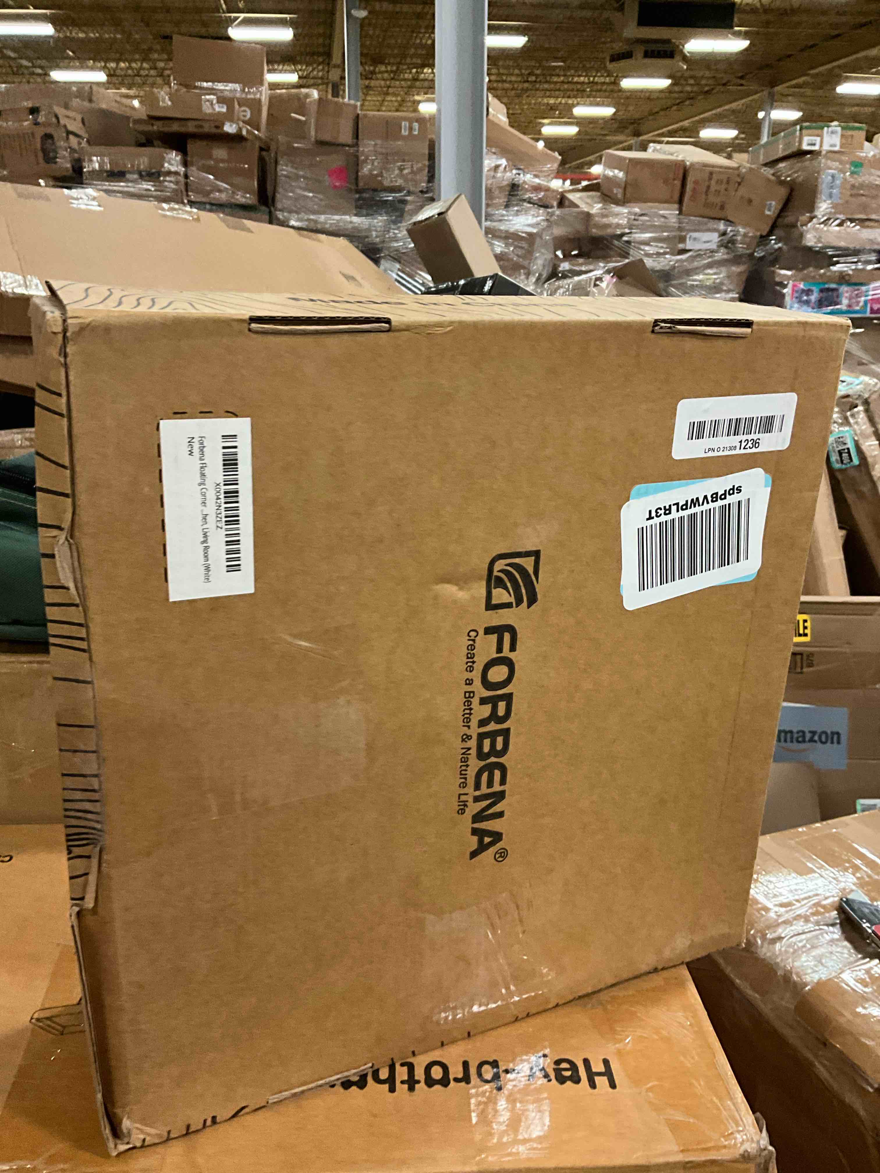 https://s3.amazonaws.com/lotting-images-prod/bidfta/ORG6254517_1732636162827.jpeg