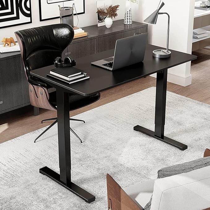 FLEXISPOT Standing Desk, Electric Height Adjustable Desk 48 x 24 Inches Sit Stand Desk Home Office Desk