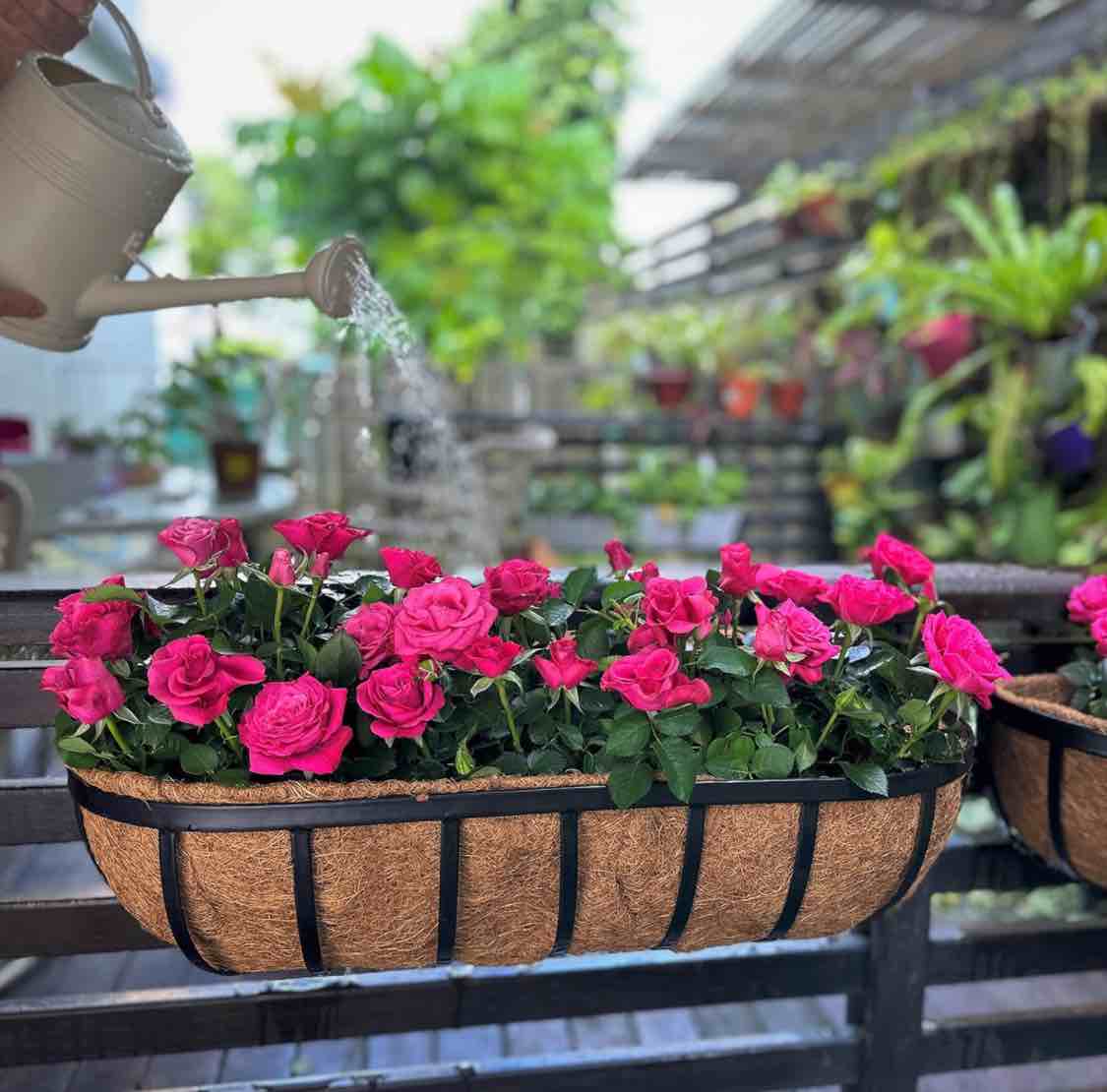 30" Window Deck Planter with Brackets
