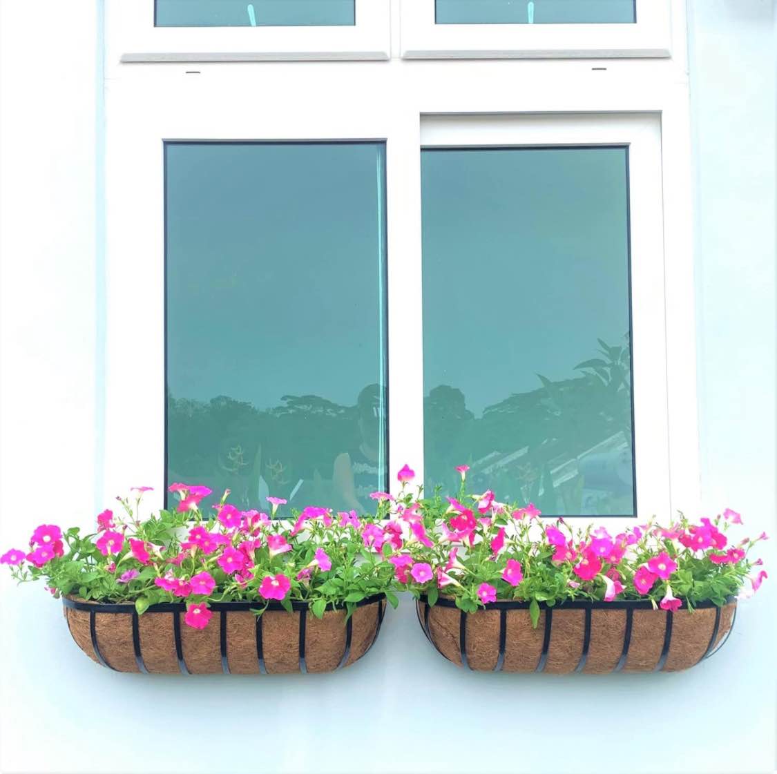 https://s3.amazonaws.com/lotting-images-prod/bidfta/ORG6294664_1721060295571.jpeg