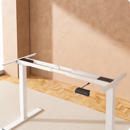 Flexispot Standard Standing Desk (E5)