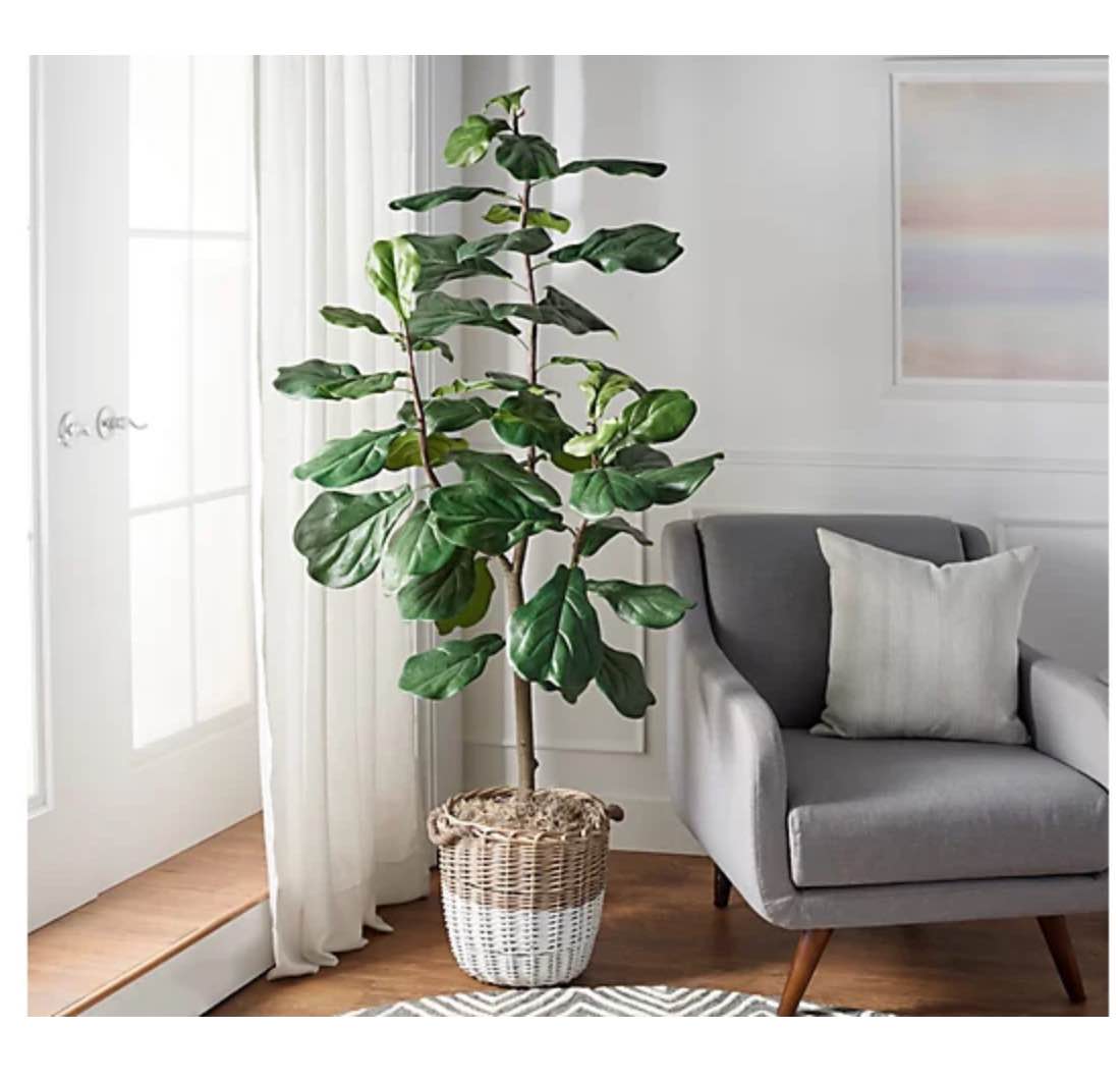 6' Faux Fiddle Leaf Tree in Starter Pot by Valerie