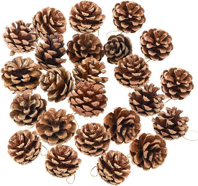 Natural Pine Cones Christmas Rustic Pine Cones Bulk Ornaments with String for Xmas Thanksgiving Fall Party Craft Decorations (Nature/24pcs)