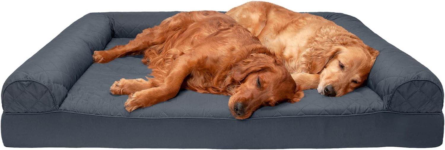 xxxlarge 54-36 grey dog bed