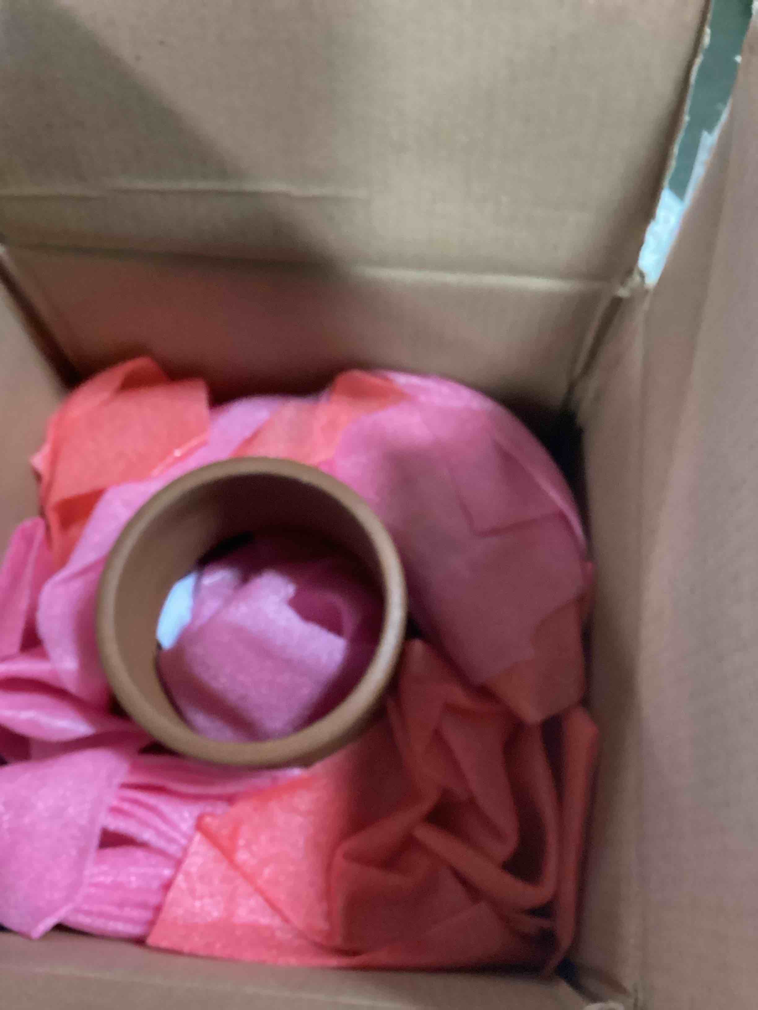 https://s3.amazonaws.com/lotting-images-prod/bidfta/ORG6348323_1712331941806.jpeg