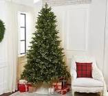 Scott Living 7.5ft Pre-Lit Fir Tree with 600 Starry LED Lights