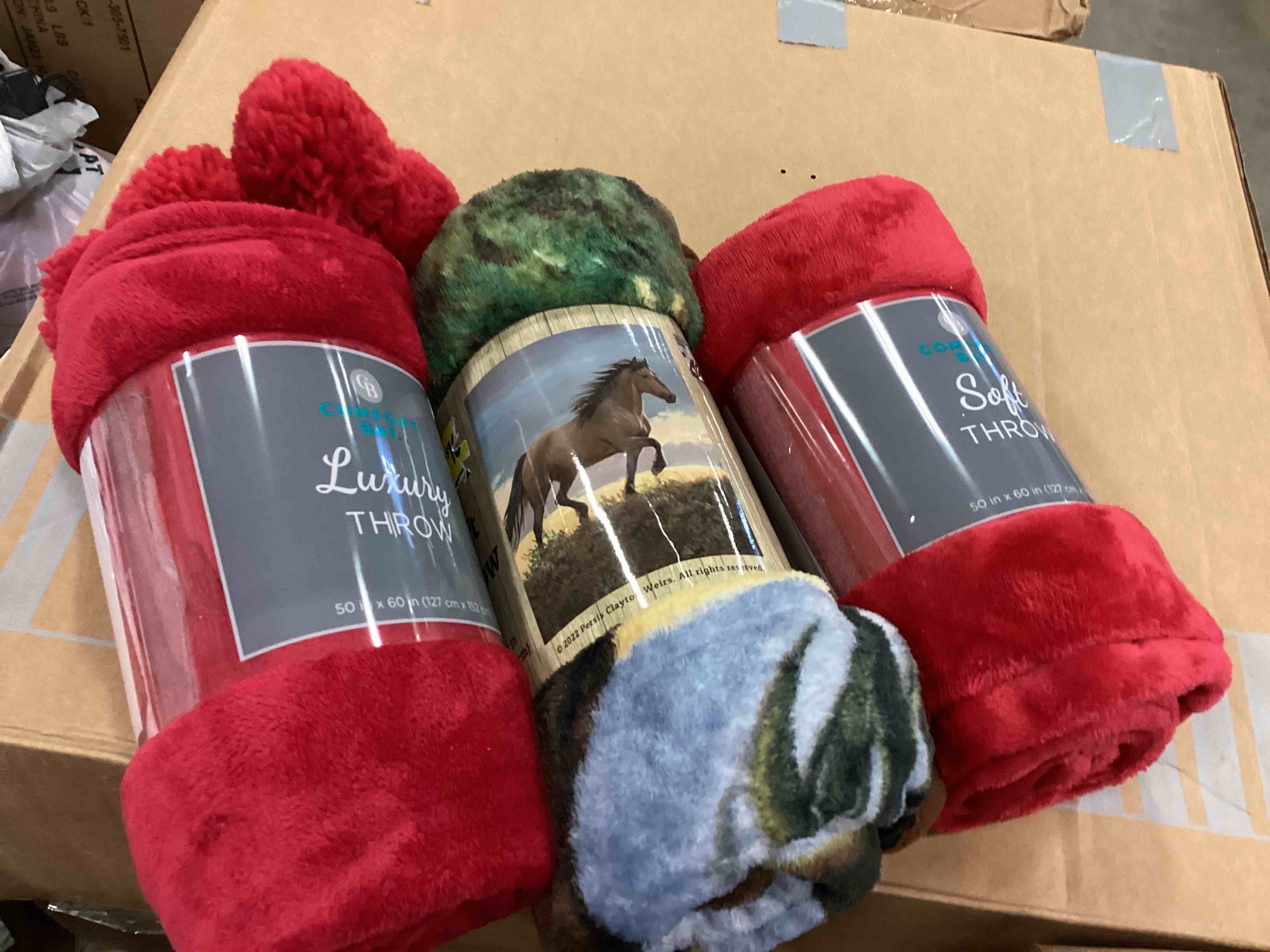 SUPER SOFT LUXURY THROW BLANKET, 50” X 60:”