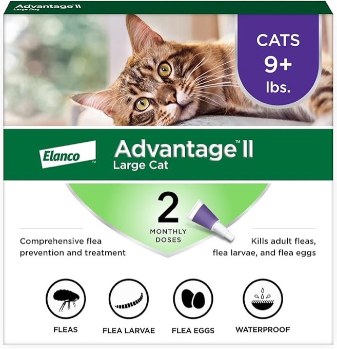 Advantage II Large Cat Vet-Recommended Flea Treatment & Prevention | Cats Over 9 lbs. | 6-Month Supply 6 Pack Large Cat only