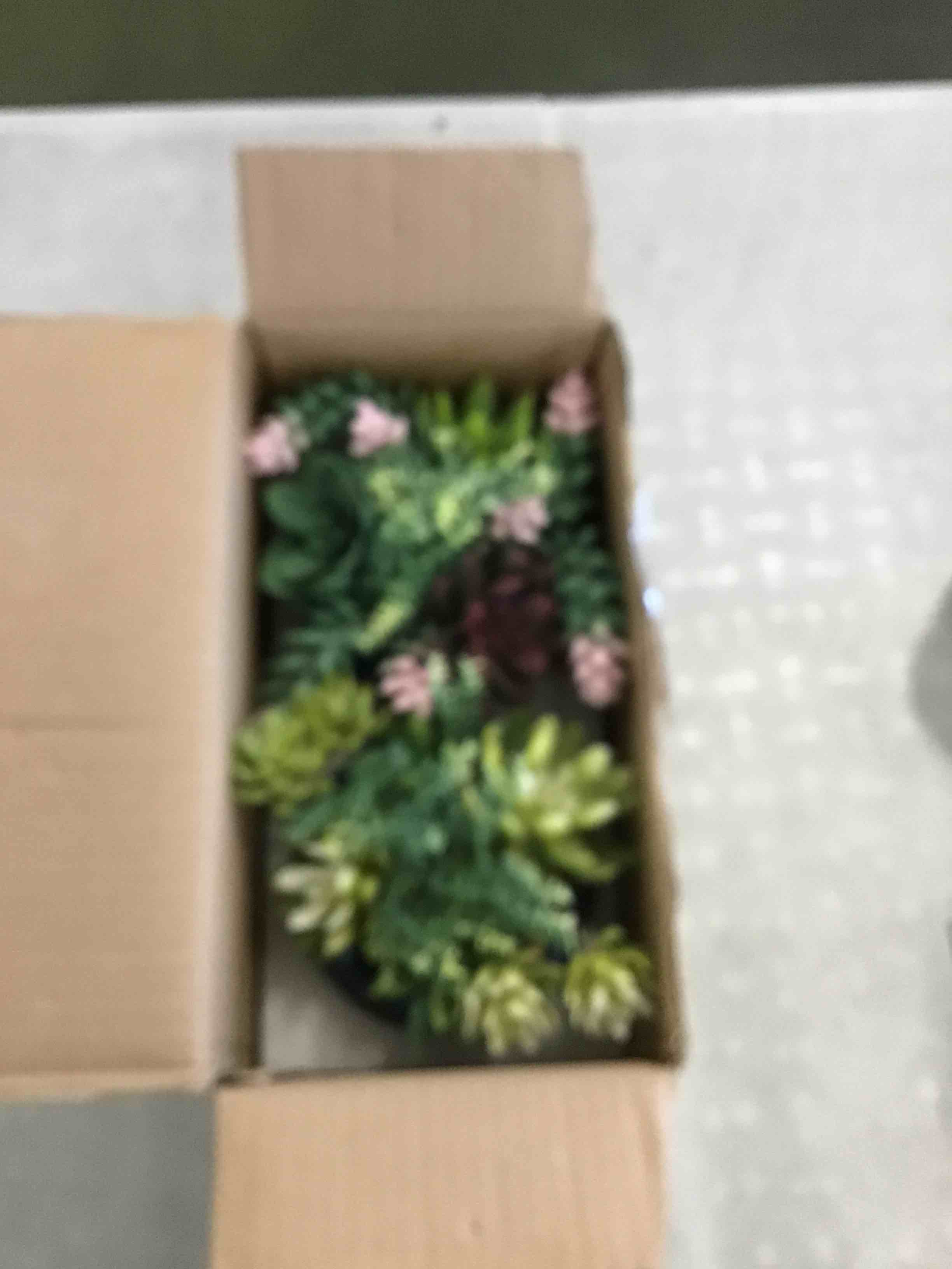 https://s3.amazonaws.com/lotting-images-prod/bidfta/ORG6396975_1716296811338.jpeg