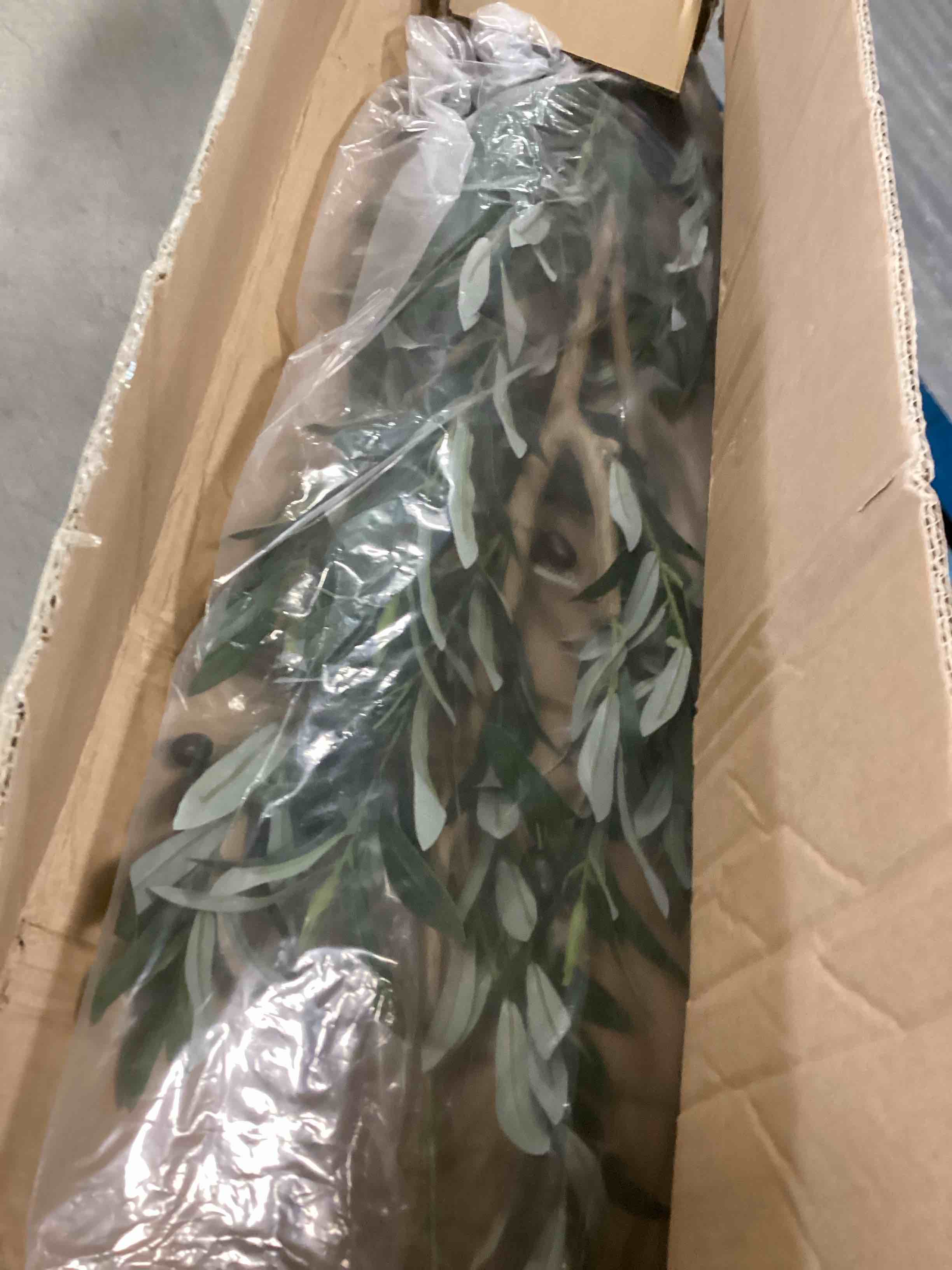 https://s3.amazonaws.com/lotting-images-prod/bidfta/ORG6401819_1716390458389.jpeg