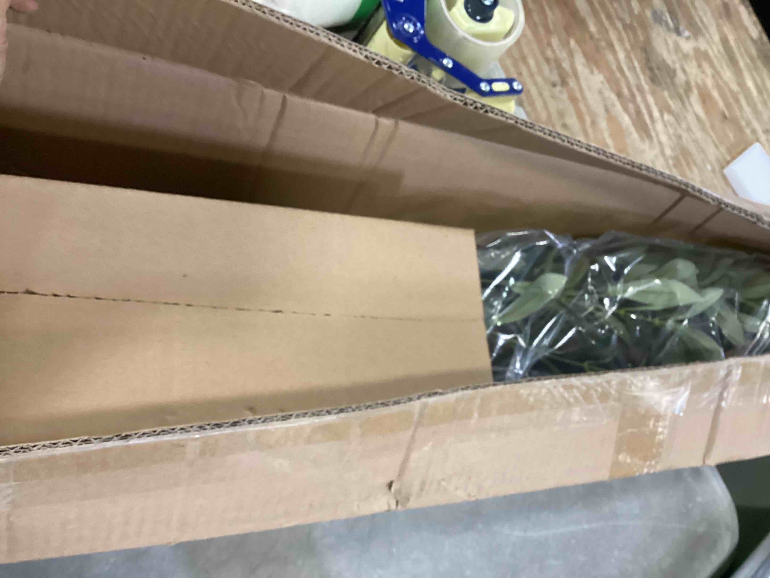 https://s3.amazonaws.com/lotting-images-prod/bidfta/ORG6403495_1716483793516.jpeg