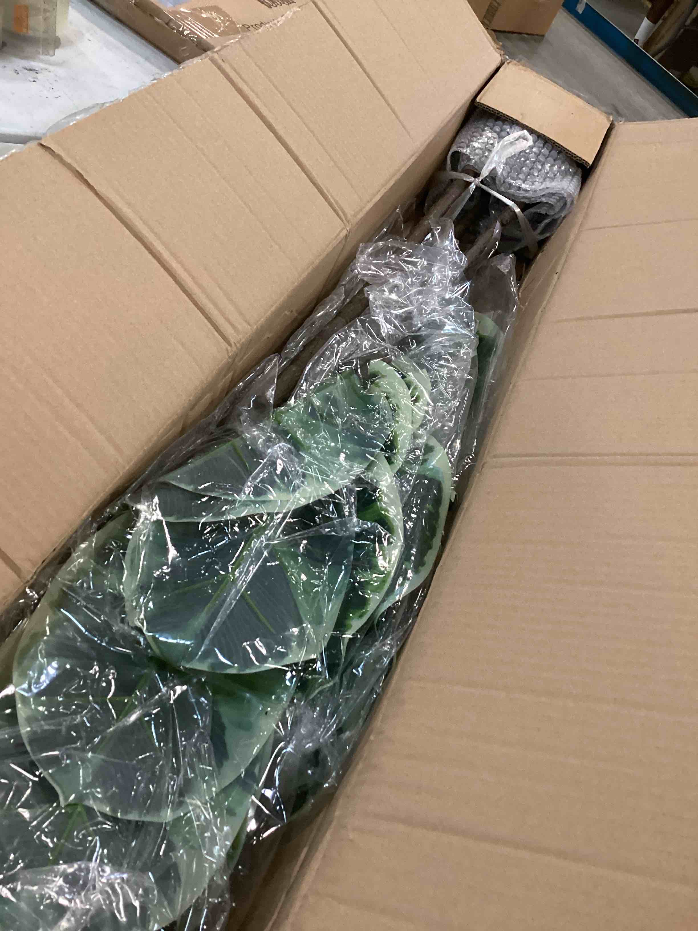 https://s3.amazonaws.com/lotting-images-prod/bidfta/ORG6435549_1718116466355.jpeg