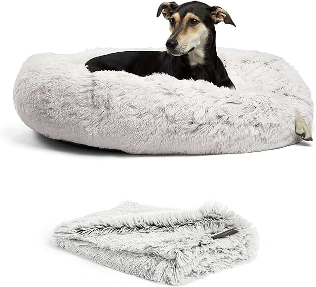 Best Friends by Sheri Bundle Set The Original Calming Shag Donut Cuddler Cat and Dog Bed + Pet Throw Blanket Frost Large 36" Large 36" x 36" Bed + Blanket Shag Frost
